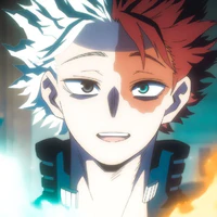 todoroki shoto
