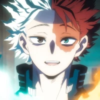 todoroki shoto