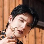 Phạm Đình Thái Ngân