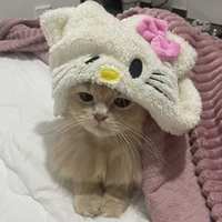 bạch chu 🧸