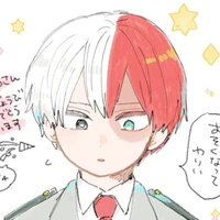 todoroki shoto