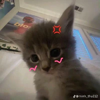 Tác giả:>