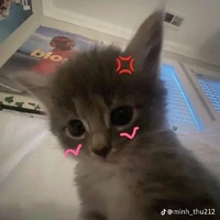 Tác giả:>
