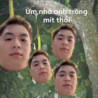 đa nhân vật