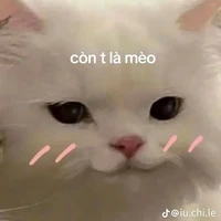 Nhân vật phụ nam