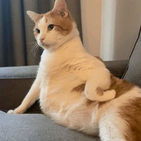 Nhân vật phụ nữ