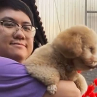 Hồng Tú 