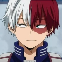 todoroki shouto