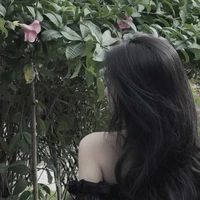 Phi Sương