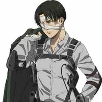 Levi