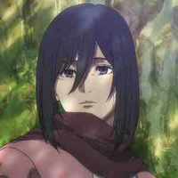 mikasa