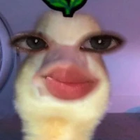 tg