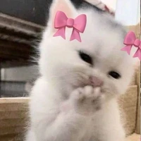 tg cutii