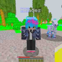 Hiha des