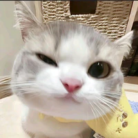 t/g