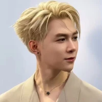 Bùi Anh Tú