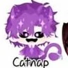 catnap