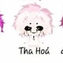 tha hóa