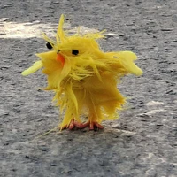 tg vịt vàng