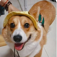 hệ thống 010-( bobo)