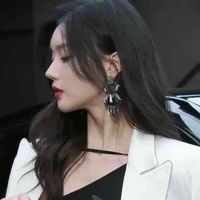 Triệu Tư Vũ_Triệu tổng