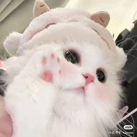 Người xấu bị khờ T/g