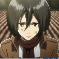 Mikasa ackerman