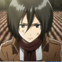 Mikasa ackerman