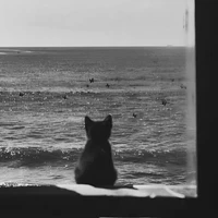 𝘽𝙤𝙪(hệ thống)