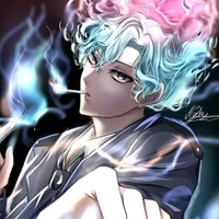 hiha des