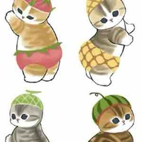 Mèo Dora đang nuôi