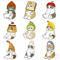 Mèo hai đứa nuôi