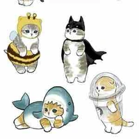 Pet cuti