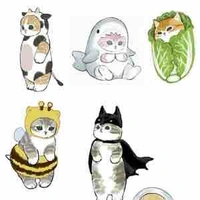 Pet cuti (cùng một ảnh với cái kia)