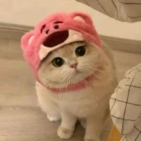 becbec