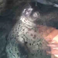 Thần chuyên chuyển sinh