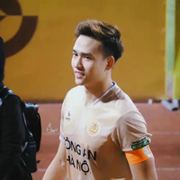 Việt Anh