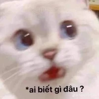 tác giả