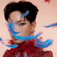 Pháp Kiều [Phán Quan]