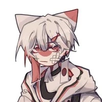 Nekomi