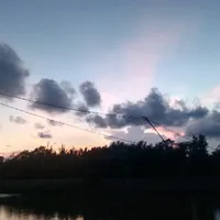 C H A M M Y(tác giả)