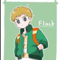 Flock