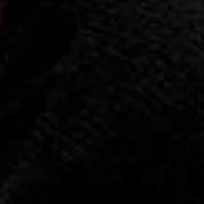 All (- trường hợp )