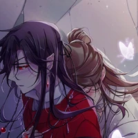 t/g( meo )