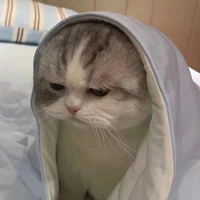 Hân Hân [ tác giả ]