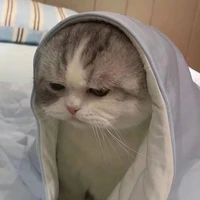 Hân Hân [ tác giả ]