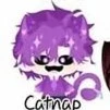 catnap