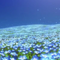 All[Trừ Ai Thì Trừ]