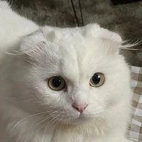 Nhân vật tổng hợp