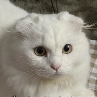 Nhân vật tổng hợp